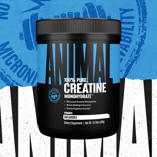 CREATINE ANIMAL - 60 SERVICIOS