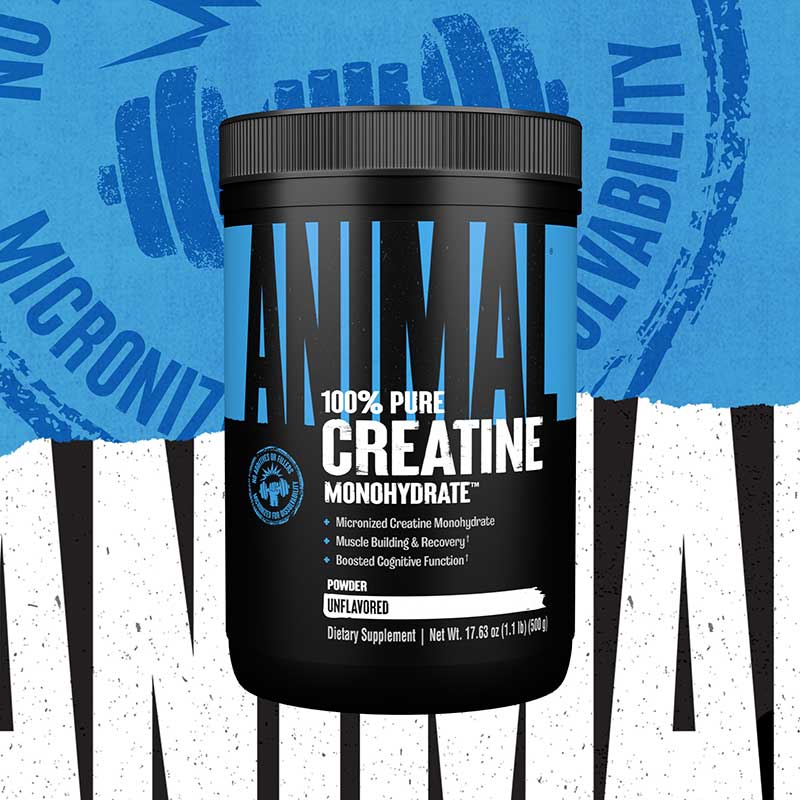 CREATINE ANIMAL - 100 SERVICIOS