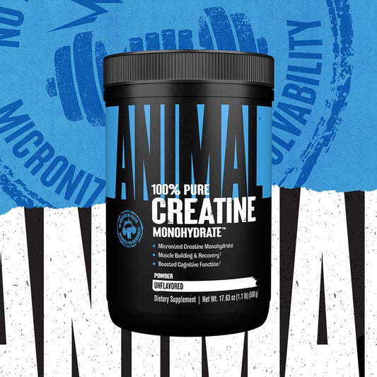 CREATINE ANIMAL - 100 SERVICIOS