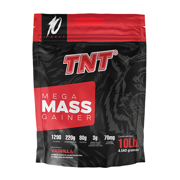 Tnt Mega Mass Gainer Glowell 4736